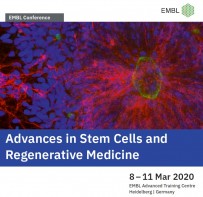 Advances in Stem Cells and Regenerative Medicine EMBL Conference