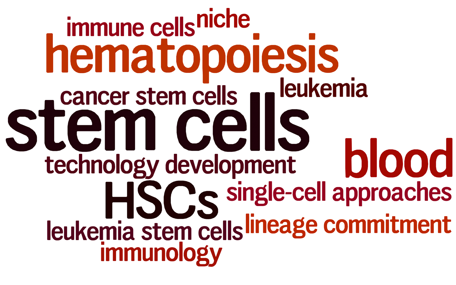 Topics in the Haas Group