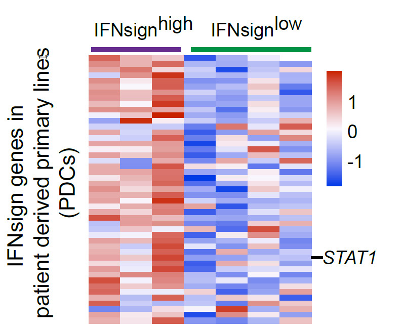 is ca 125 a tumor marker