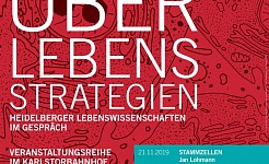 Plakt ÜBERLEBENSSTRATEGIEN
