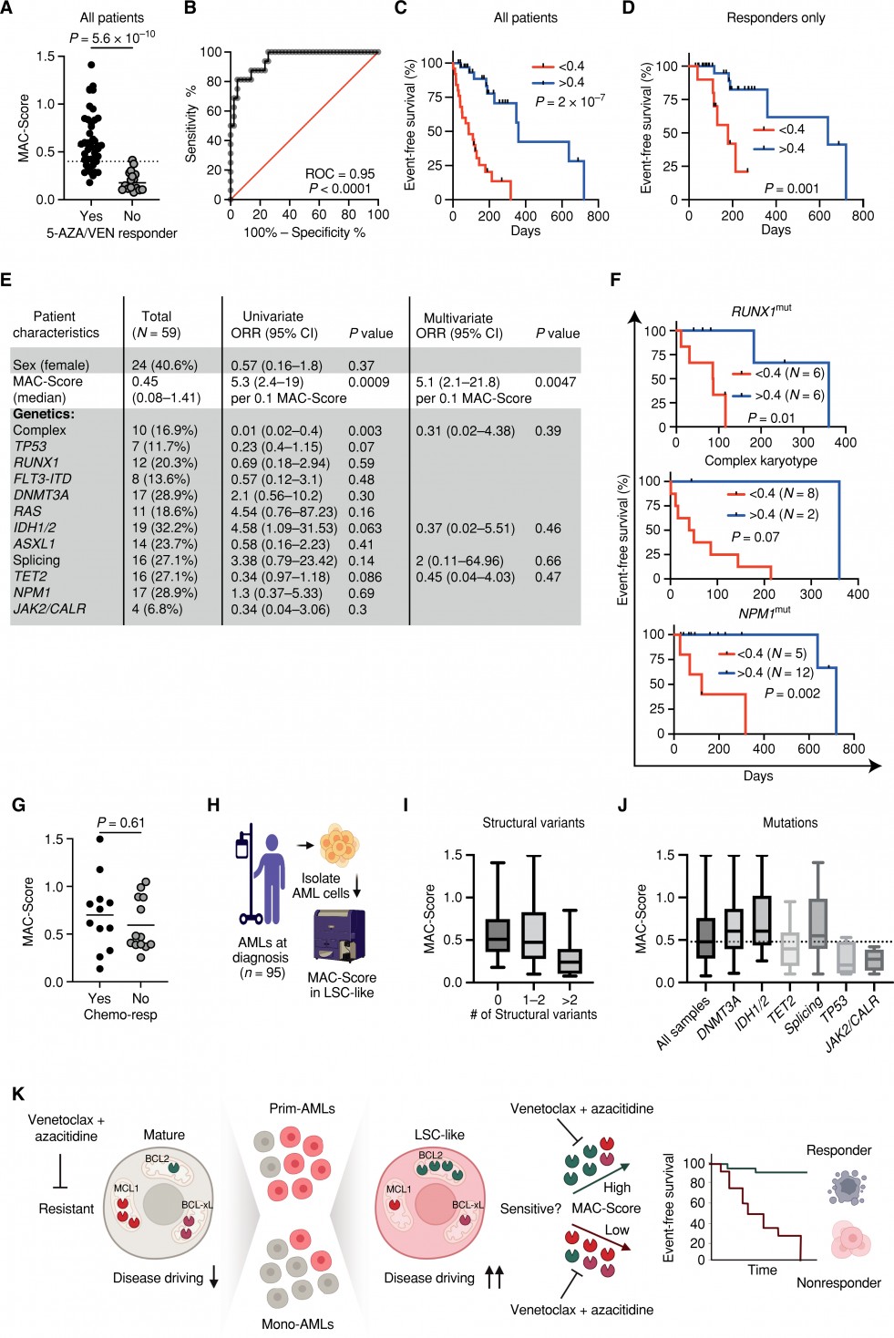Combinatorial BCL2 Family Expression in Acute Myeloid Leukemia Stem ...