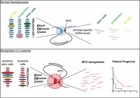 From Bahr et al., Nature 2018