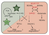 From Raffel et al., Nature 2017