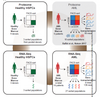 Raffel et al., Blood 2020