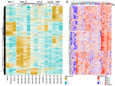 Meningioma heatmap