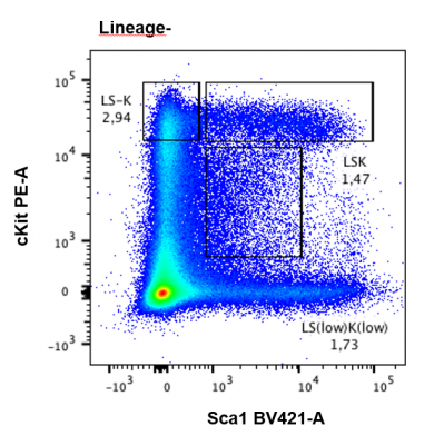 FACS plot showing the application of the OMIP-059 panel. Bone marrow cells are sorted according to the expression of Sca1 (x-axis) and cKit (y axis), leading to the separation of different populations in the hematopoietic system Plot